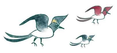 yoap-birds232-min