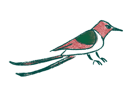 Decorative red bird illustration
