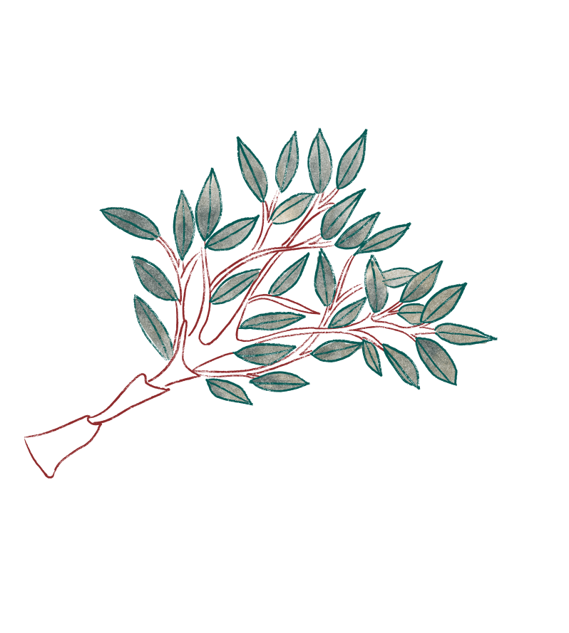 Decorative tree illustration